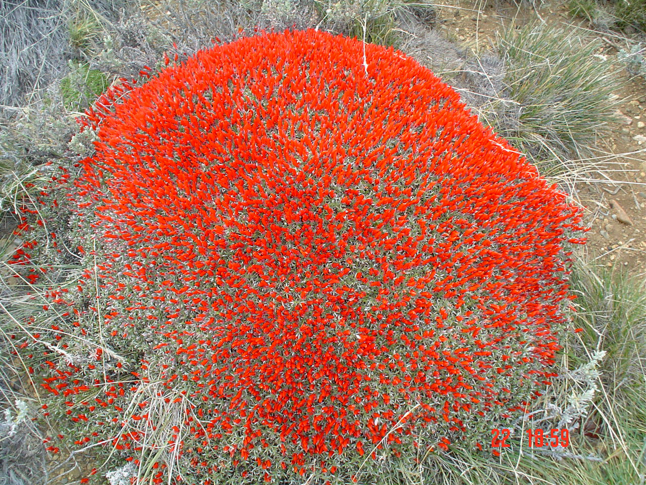 foto-8